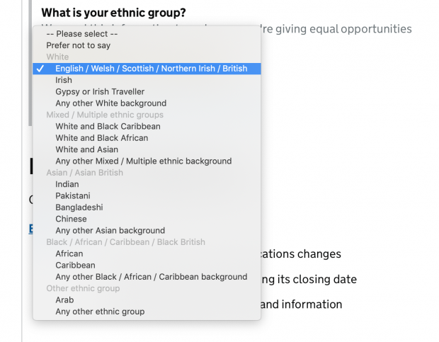 A screengrab from the Find an apprenticeship service. A dropdown box called "What is your ethnic group?" is open. The options are: Prefer not to say, English/Welsh/Scottish/Northern Irish/British, Irish, Gypsy or Irish Traveller, Any other white background; White and Black Caribbean, White and Black African, White and Asian, Any other mixed/multiple ethnic background; Indian, Pakistani, Bangladeshi, Chinese, Any other Asian background' African, Caribbean, Any other Black/African/Caribbean background; Arab, Any other ethnic group