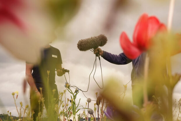 An image of Matt Smith working outside with one of his patients using sound as therapy. Matt is holding a large furry microphone attached to a recorder. Both Matt and the patient's faces are obscured by flowers close to the camera